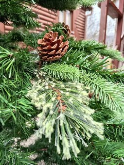 Vianočný stromček - 5