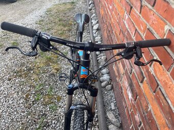 Vedora Camouflage 800 - 5