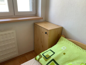 Udržiavanie domu a okolia v Nitre - 5