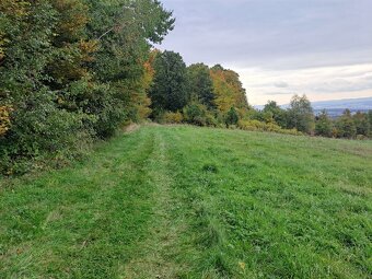 Na predaj jedinečné pozemky Zehňa - 5