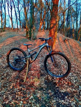 kellys swag 10 2023 - 5