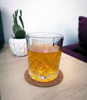 Kombucha čajová huba - 5