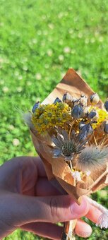 🌾Mala kytička žltá slamienka, zajačí chvost a lúčne kvety - 5
