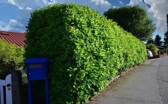 VAVRÍNOVEC NOVITA-Košice - 5