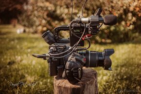 Canon C200 + EF 17-55 f2.8 IS - 5