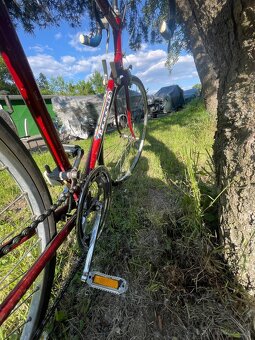 Predám bicykel favorit - 5