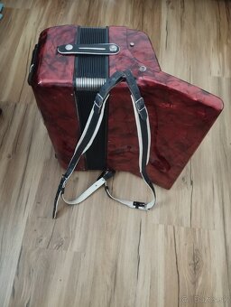 Akordeón, harmonika - 5
