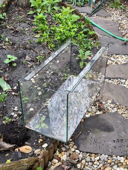 Terarium - 5