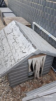 Psia búda - psie búdy - 5