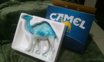 Camel - 5