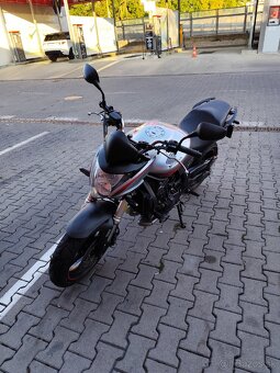Predám Hondu Hornet CB600FA 2010 - 5