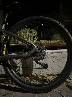 Predam Kross Hexagon 3.0 2025 - 5