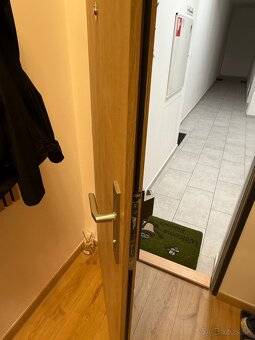 Predám protipožiarne vchodové dvere do bytu 80 ky ľavé - 5