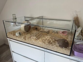 Terarium pre škrečka - 5