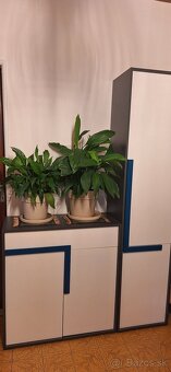 Lopatkovce v keramických kvetinačoch - 5