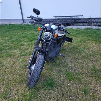 Harley-Davidson Sportster XL 1200 - 5
