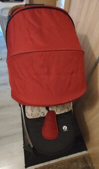 Petite & Mars Royal - 5