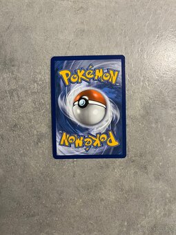 Pokemon Charizard,Ivysaur - 5