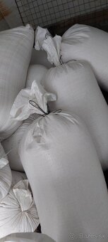 Kukuricu a psenicu predam - 5