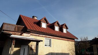 ✅️✅️✅️Nátery striech natieranie maľovanie N=13x - 5