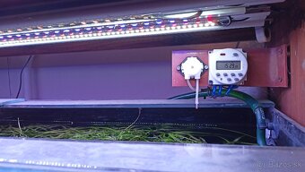 Akvárium so skrinkou - 5