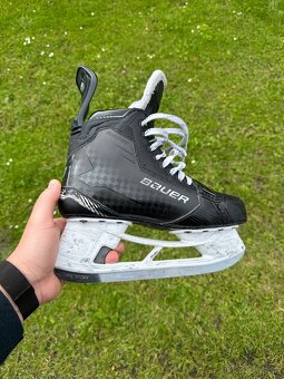 Korcule Bauer Supreme Shadow - 5
