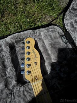 Fender Telecaster Malaysian Blackwood Limited Edition - 5