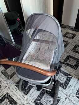 Kocik Joolz Day 3 - 5