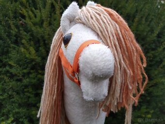 Hobby horse - 5