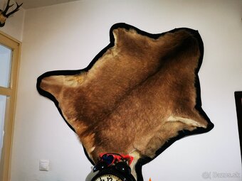 Srnec a iné trofeje - 5