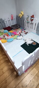 Bichon frise (bišonik) šteniatko s PP - 5