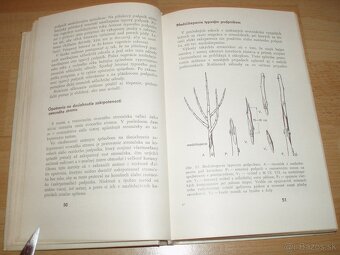 Rez a tvarovanie ovocných drevín - 5