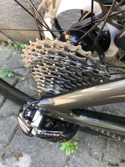 predam specialized - 5