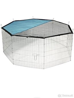 kralik minilop - 5