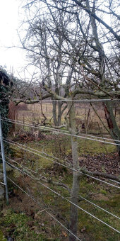 PREDANÉ -Znížená cena - Rodinný dom Sľažany - 5