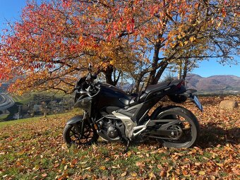 Honda NC 750DCT 2024 - 5