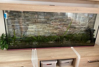 Predám akvárium - 5