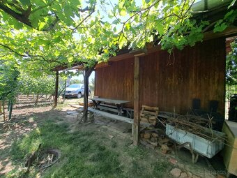 Predáme pozemok s Viničom a viničnou chatkou s elektrikou - 5