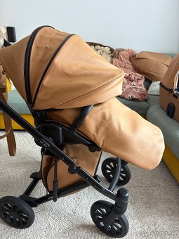 Krásny kočik Anex ETYPE Caramel - 5