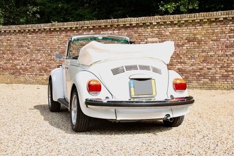 Volkswagen Beetle - 5