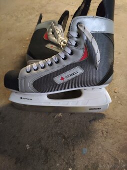 Brusle Ontario 43 - 5