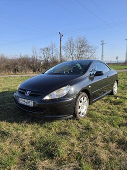 Predam Peugeot 307 Cabrio automat - 5