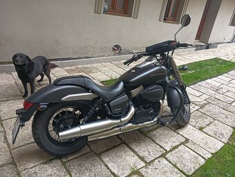 HONDA Shadow VT 750 C2B - 5