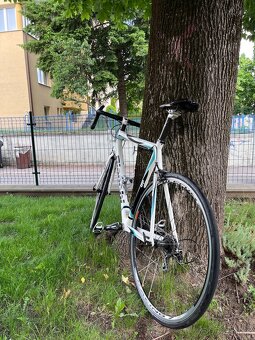 Bianchi Via Nirone 7 - 5