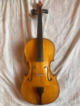 Viola 39,4 - 5