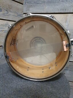 snare DW Collectors Maple 14x6 satin natural - 5