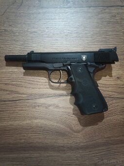 Para Ordance IPSC - 5