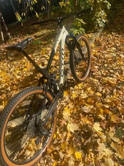 CTM SCROLL XPERT 29" 2023 - 5