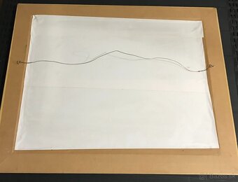 Wessel, maľovaný pes - 5