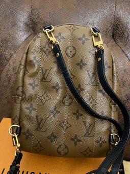 Louis Vuitton Palm Springs Mini Reverse - 5
